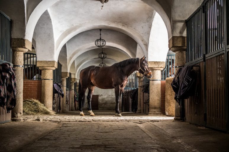 [Dream Barns] Bagienec Stables – Poland