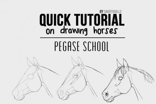 [Pegase School] Comment dessiner un cheval