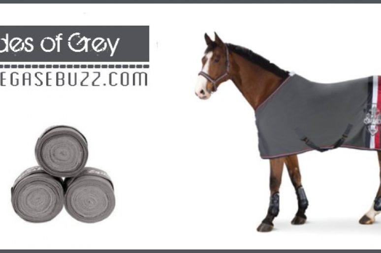 [Equestrian Fashion] Shades of Grey