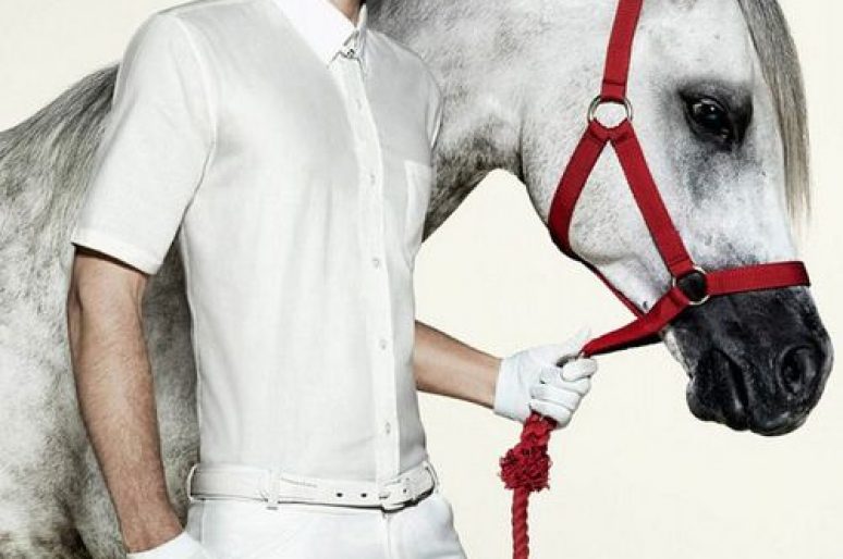 [Fashion Advertising] Le cheval Arabe version Animale