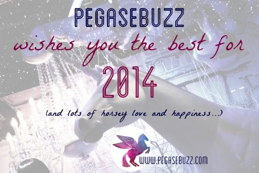 Bonne année 2014 – Happy New Year 2014