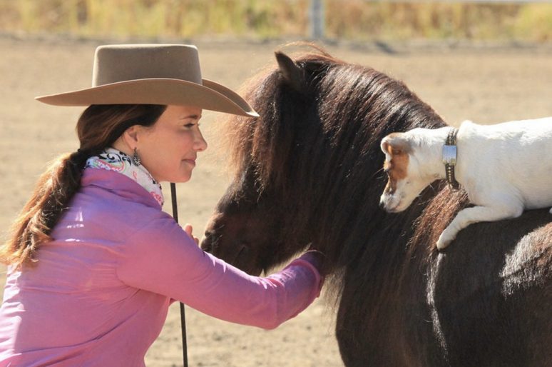 [Buzz] Dally & Spanky : Francesca Carson très à cheval sur les miniatures