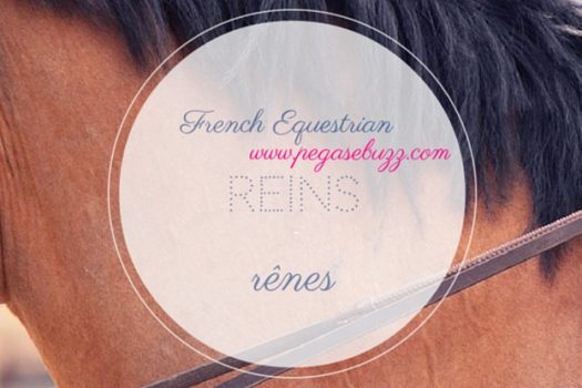 [Instagram] French Equestrian : reins