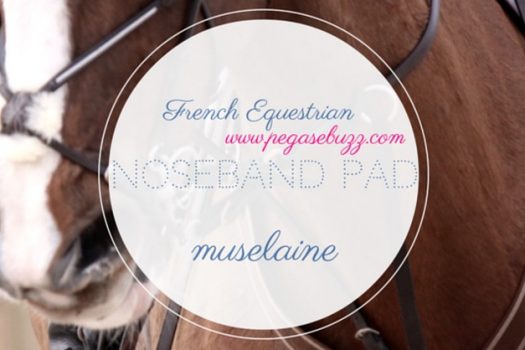 [Instagram] French Equestrian : Noseband Pad