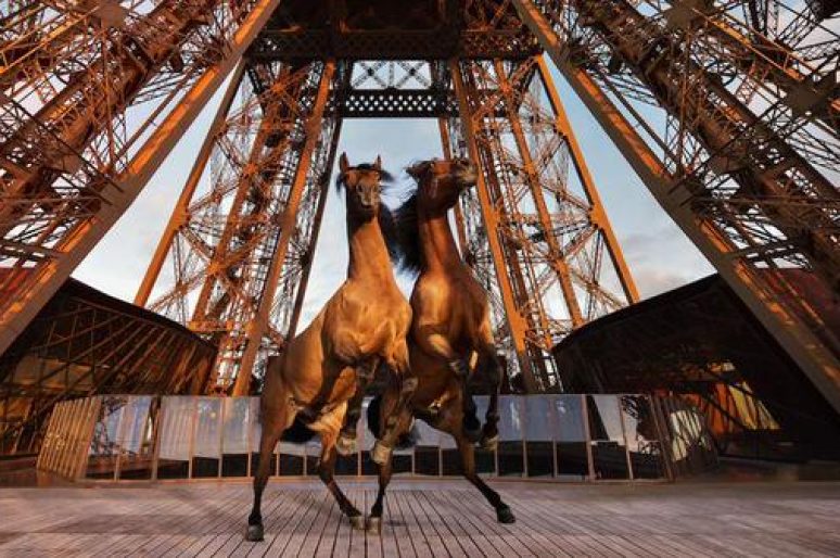 [Longines Paris Eiffel Jumping] L’affiche 2015 !