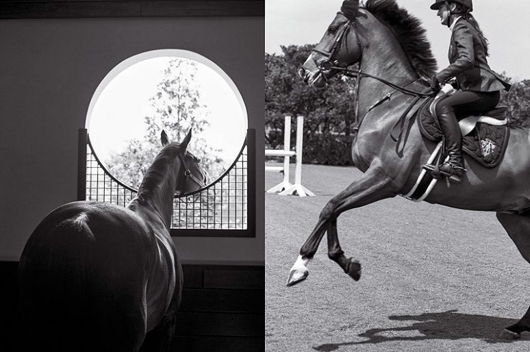 [Editorial] Jessica Springsteen : born to ride ?