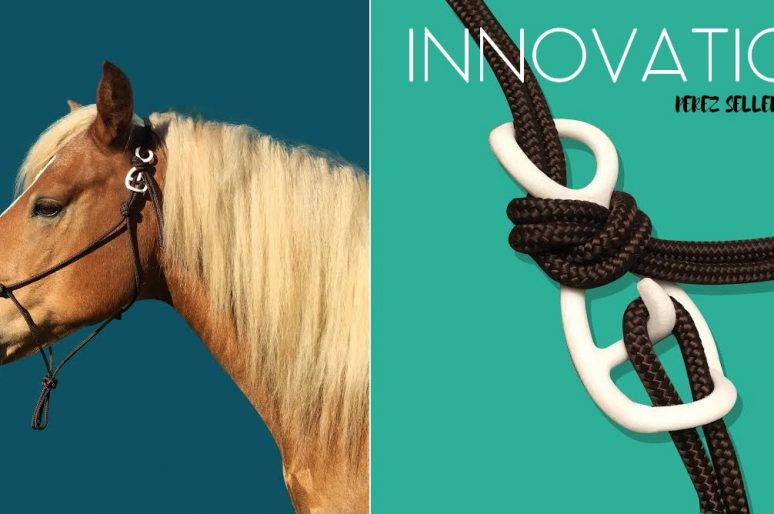 [Communiqué] Innovation : le crochet de sécurité pour licol éthologique de Perez Sellerie