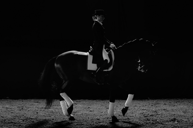 [VIDEO] Gothenburg Horse Show 2016 : the movie