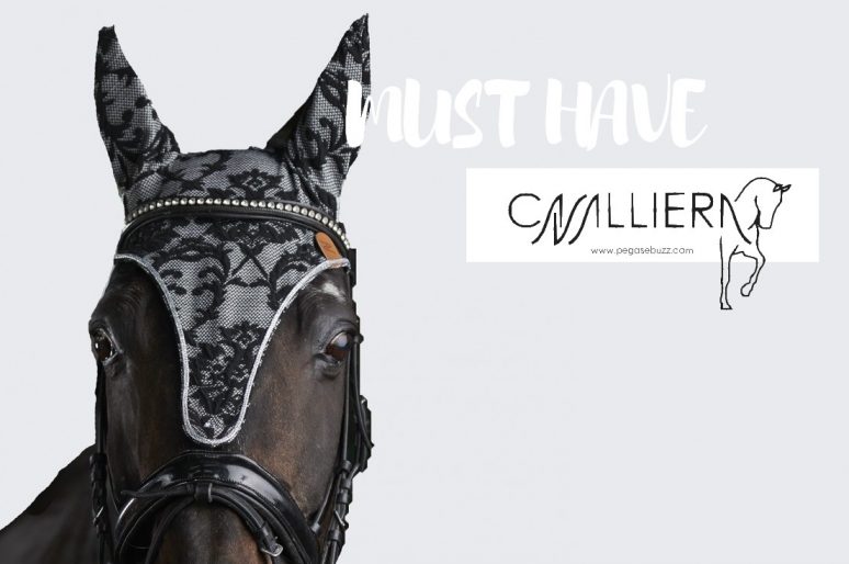 [MUST HAVE] Cavalliera : le bonnet Dignity