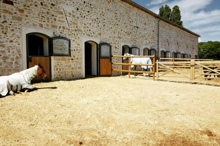 [Dream Barn] Equimov présente… le Haras du Pachavert