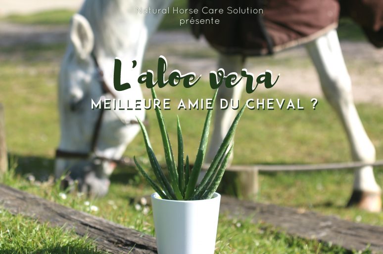 [Concours] Testez la cure d’Aloe Vera pour votre cheval