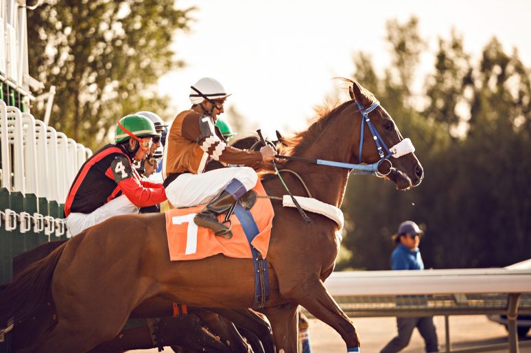 [Photography] Kristoffer Perlada : Riyadh Horse Racing