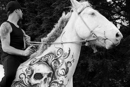 [People] Benjamin Lloyd, l’homme qui tatouait les chevaux