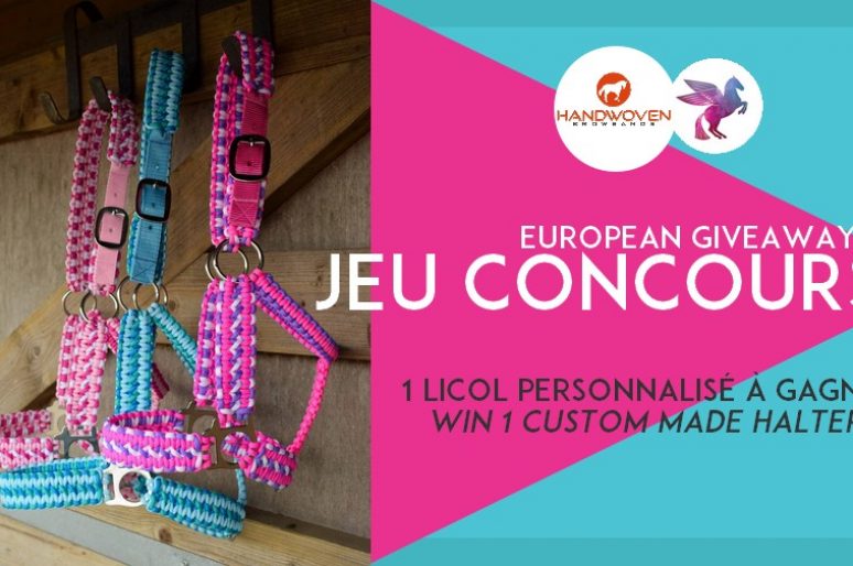 [European Giveaway] 1 licol personnalisé par Handwoven Browbands à gagner !