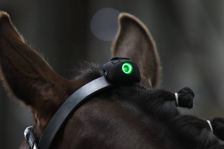 [Innovation] Le capteur VERT indique l’attitude de votre cheval en temps réel