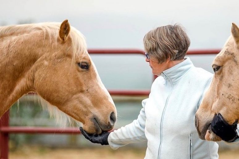 [Event] Le 1er Salon du Bien-Être avec le Cheval