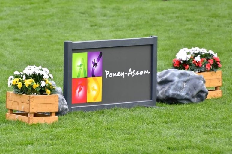 [Business] Poney AS, partenaire de l’application PegaseBuzz