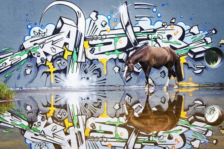 [Equestrian Photography] Lisa Mughrasi et le cheval street art