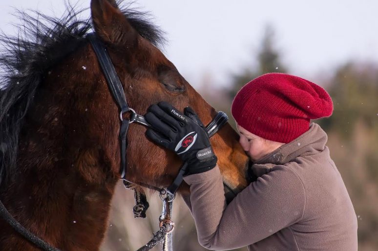 Mon cheval a-t-il besoin d’une assurance ?