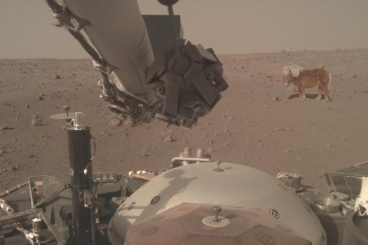 Et s’il y avait des poneys sur la planète Mars ?
