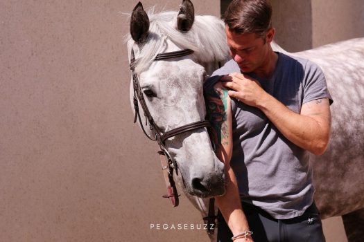 Grégory Cottard : la préparation du cheval et du cavalier vers le haut-niveau